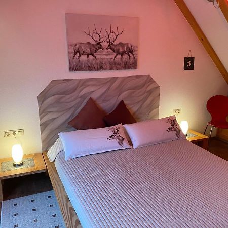 Gipfel Lounge Apartment Гослар Екстериор снимка